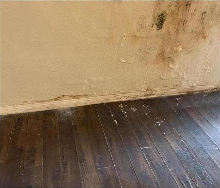 wall  and wooden floor suffered water and mold damage