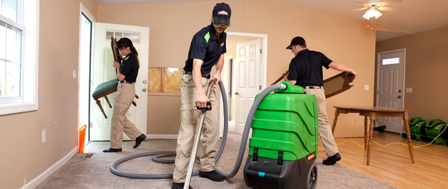 Loveland, CO cleaning services